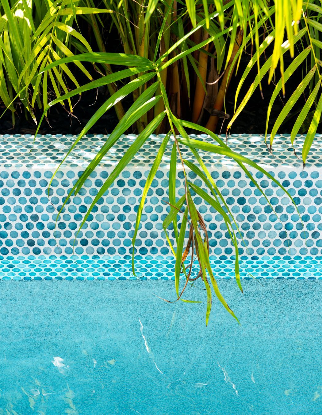 Westmere Lap Pool
