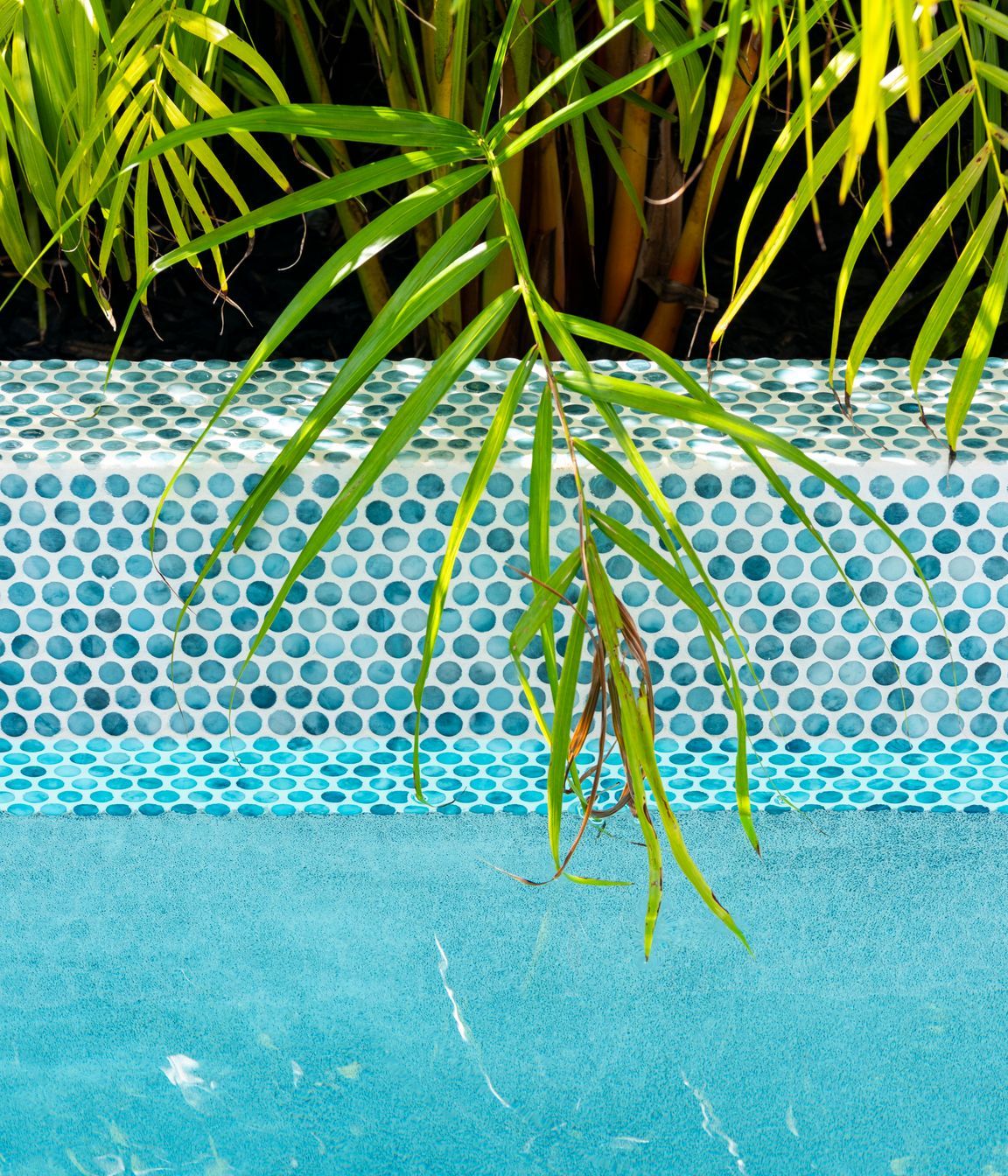 Westmere Lap Pool