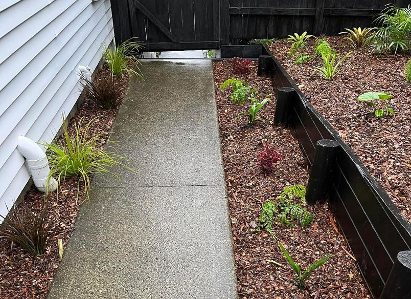 Swanson Tropical Garden