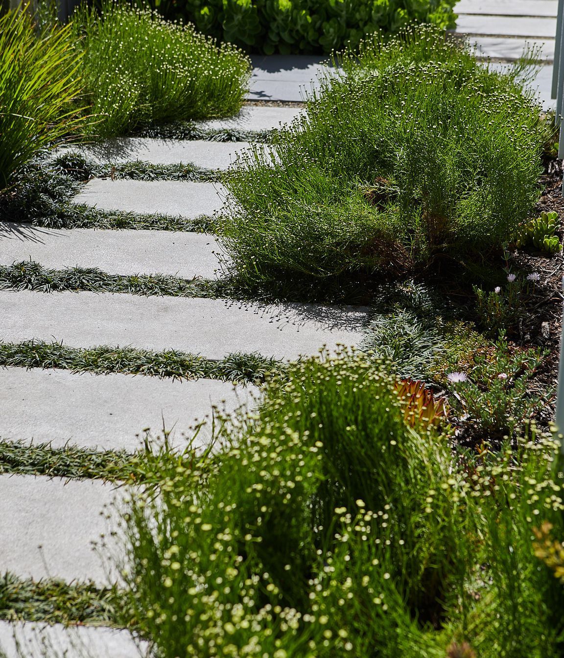 COASTAL-GARDEN86.jpg