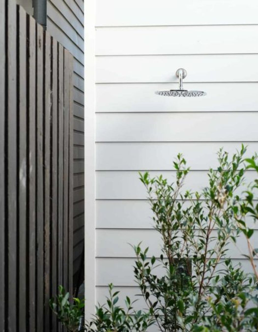 Cammeray