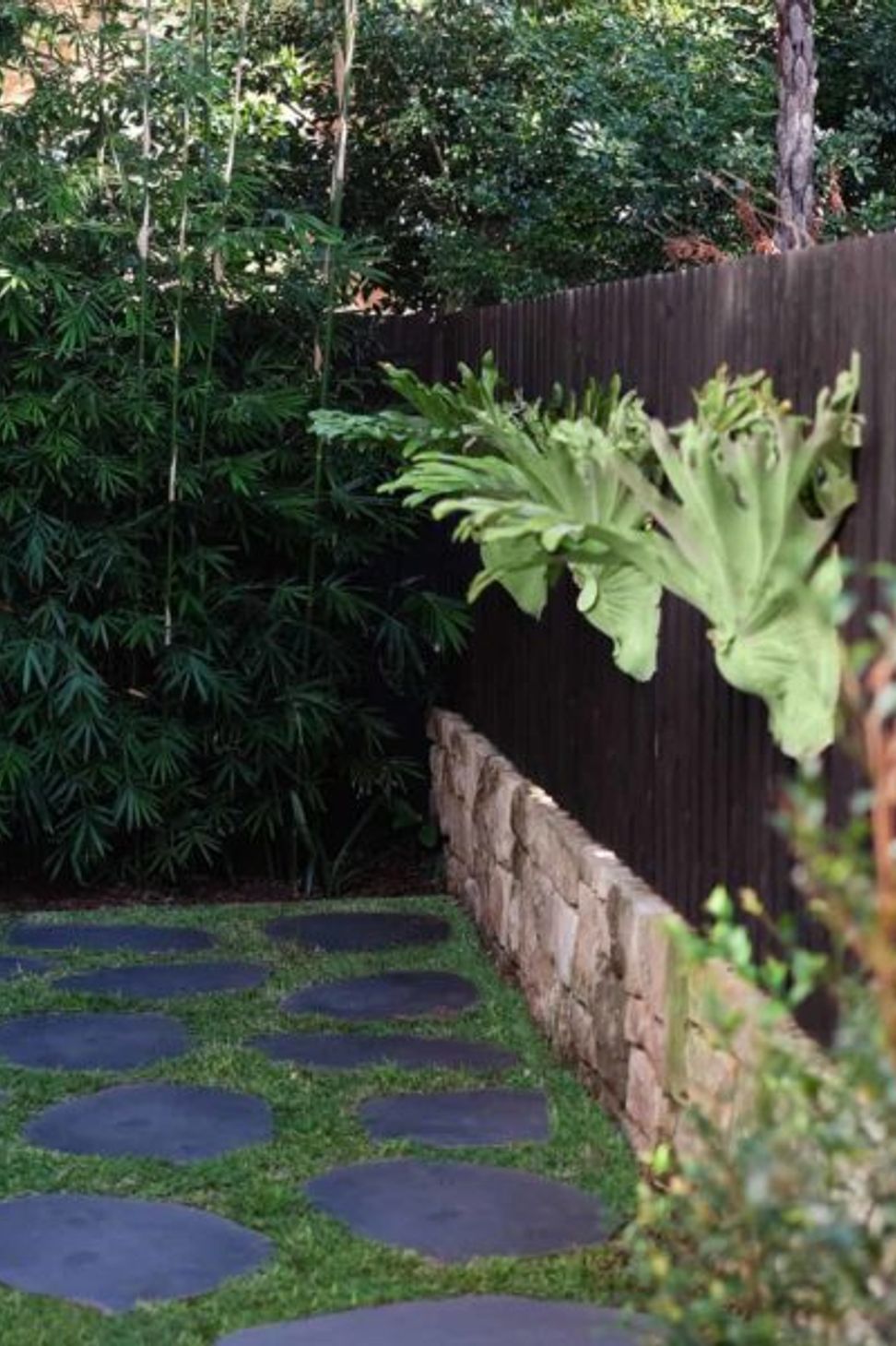 Cammeray