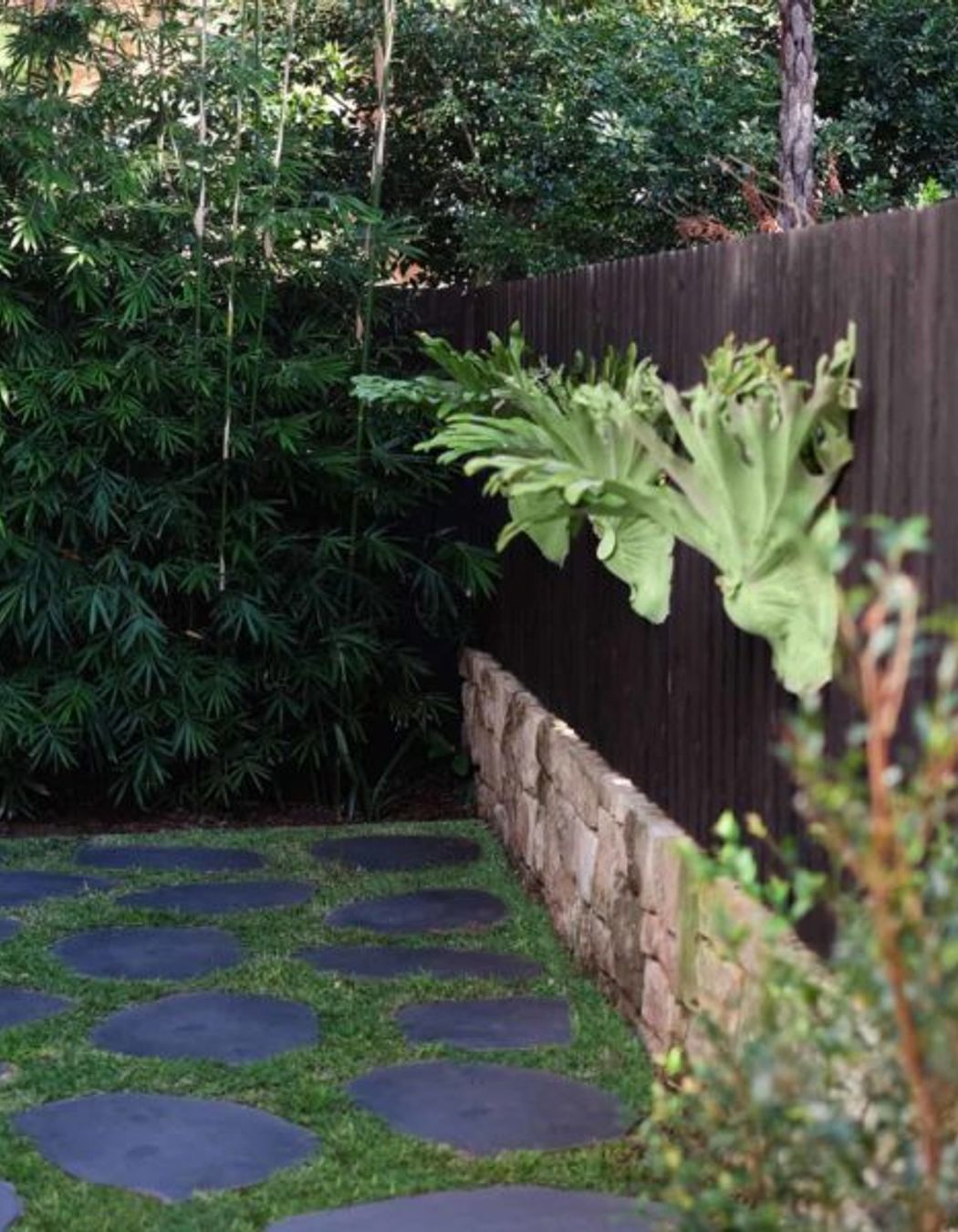 Cammeray