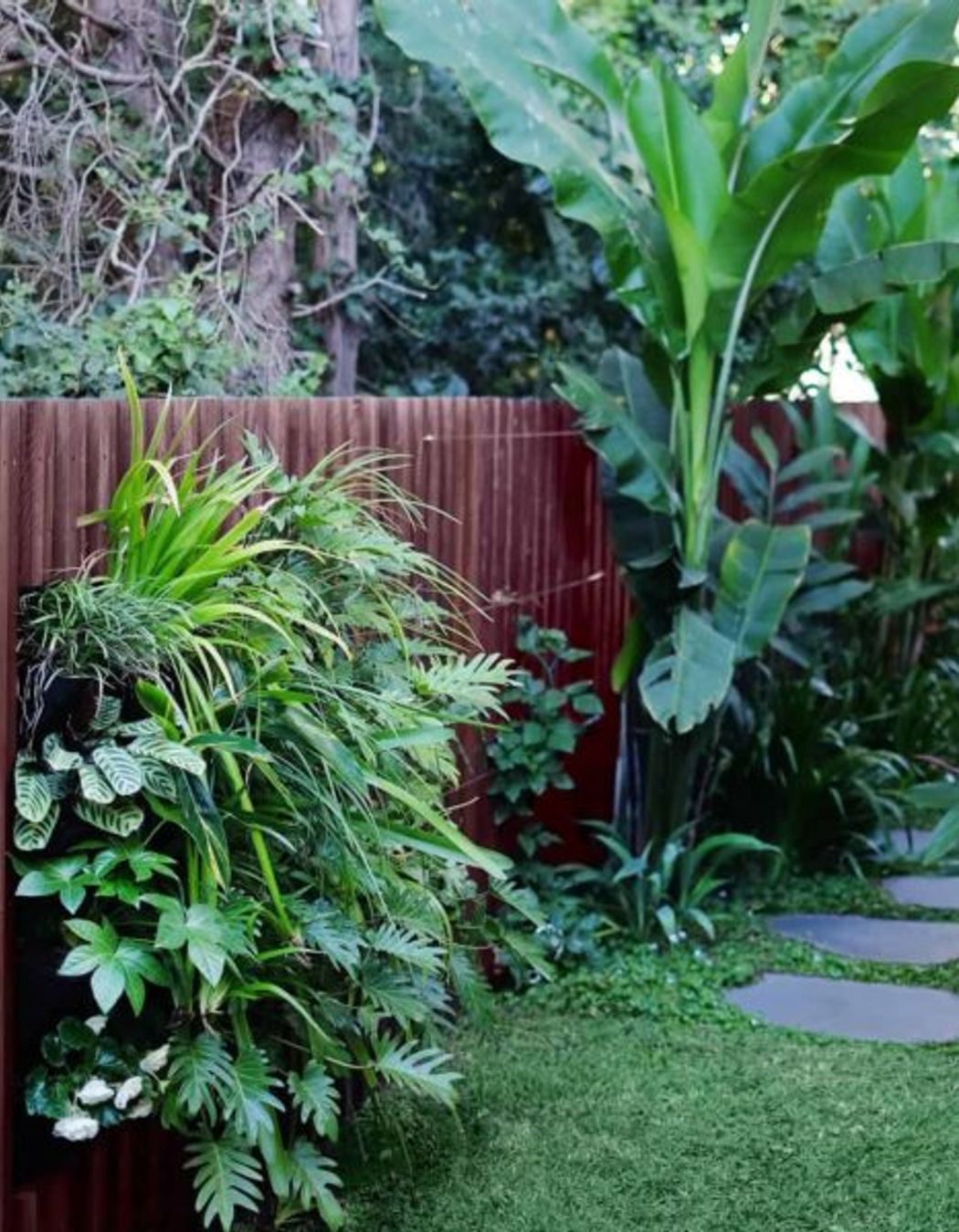 Cammeray