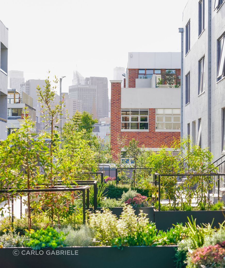 CarloGabrieleCeraStribleyLandscapingAgnesStreet01365.jpg
