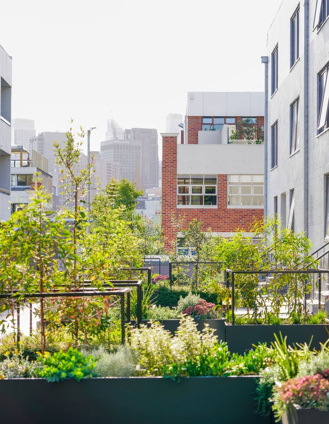 CarloGabrieleCeraStribleyLandscapingAgnesStreet01365.jpg