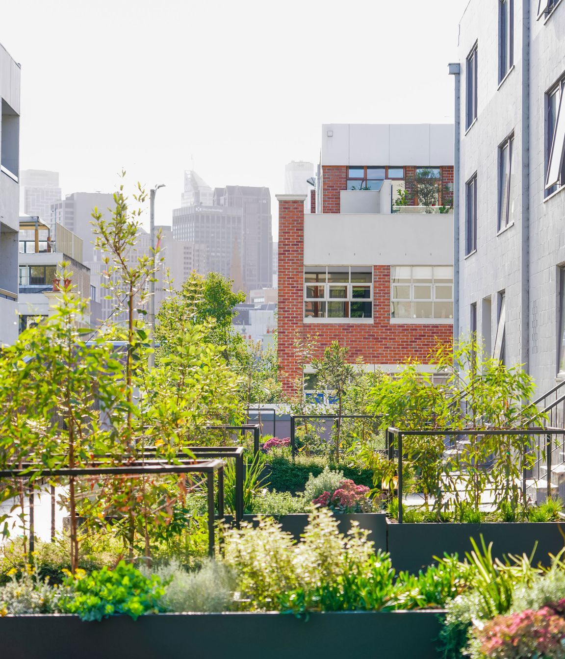 CarloGabrieleCeraStribleyLandscapingAgnesStreet01365.jpg