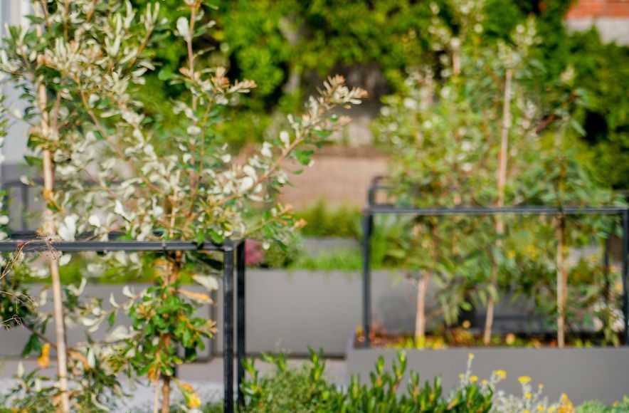 Agnes Street | East Melbourne