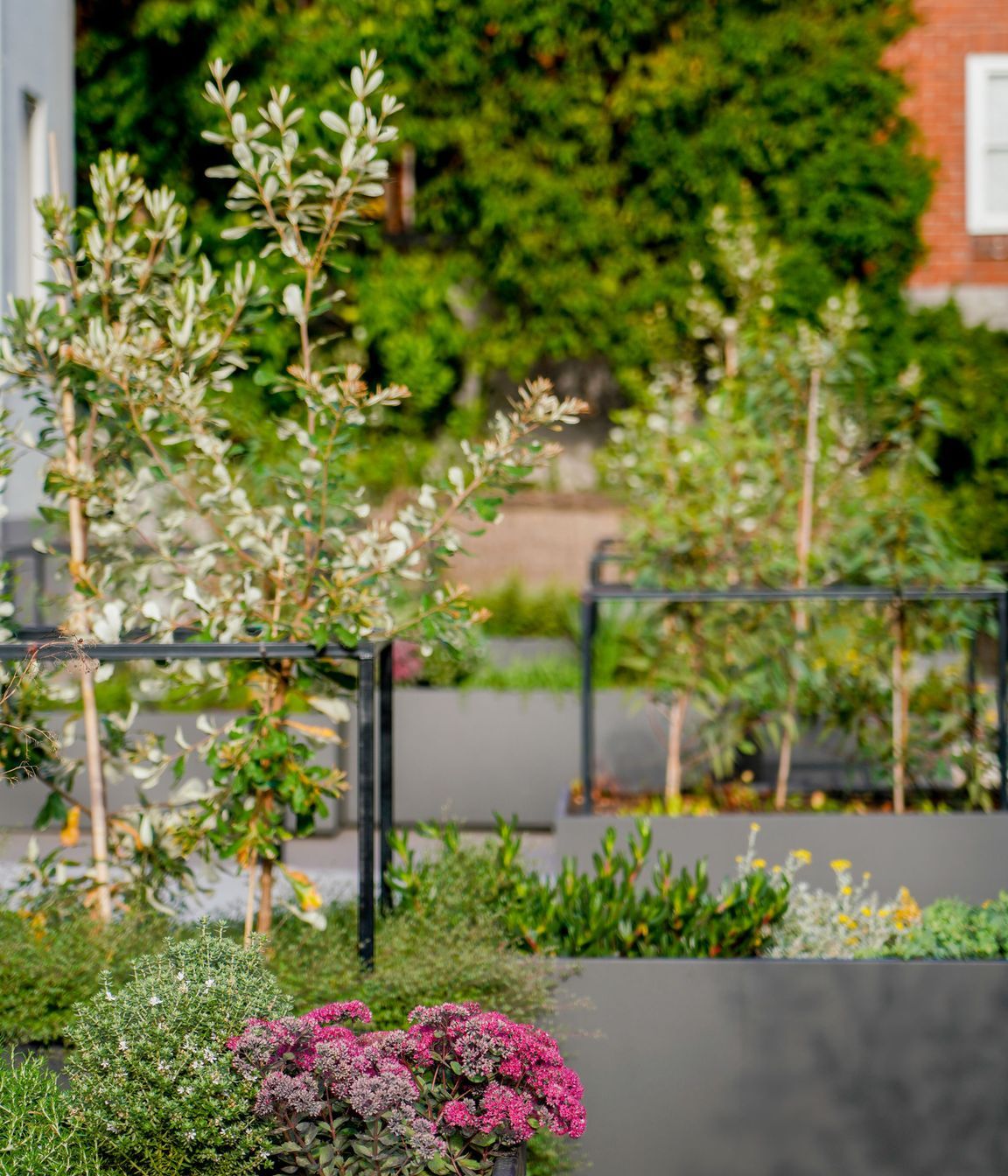 CarloGabrieleCeraStribleyLandscapingAgnesStreet01406.jpg