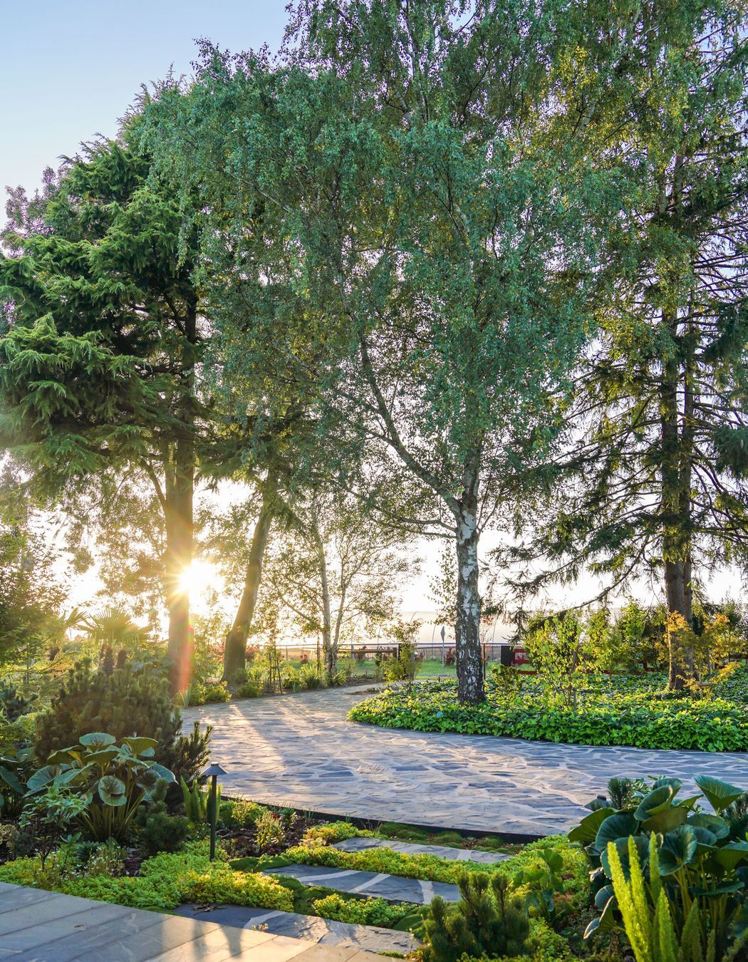 CarloGabrieleCeraStribleyLandscapingBullarto00084.jpg