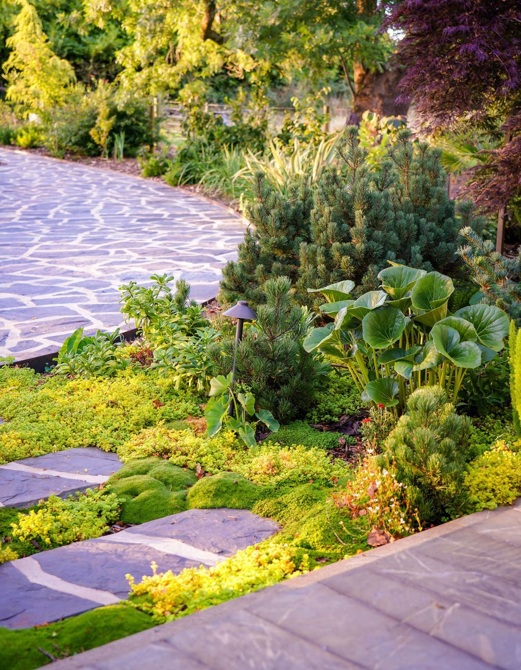 CarloGabrieleCeraStribleyLandscapingBullarto00107.jpg