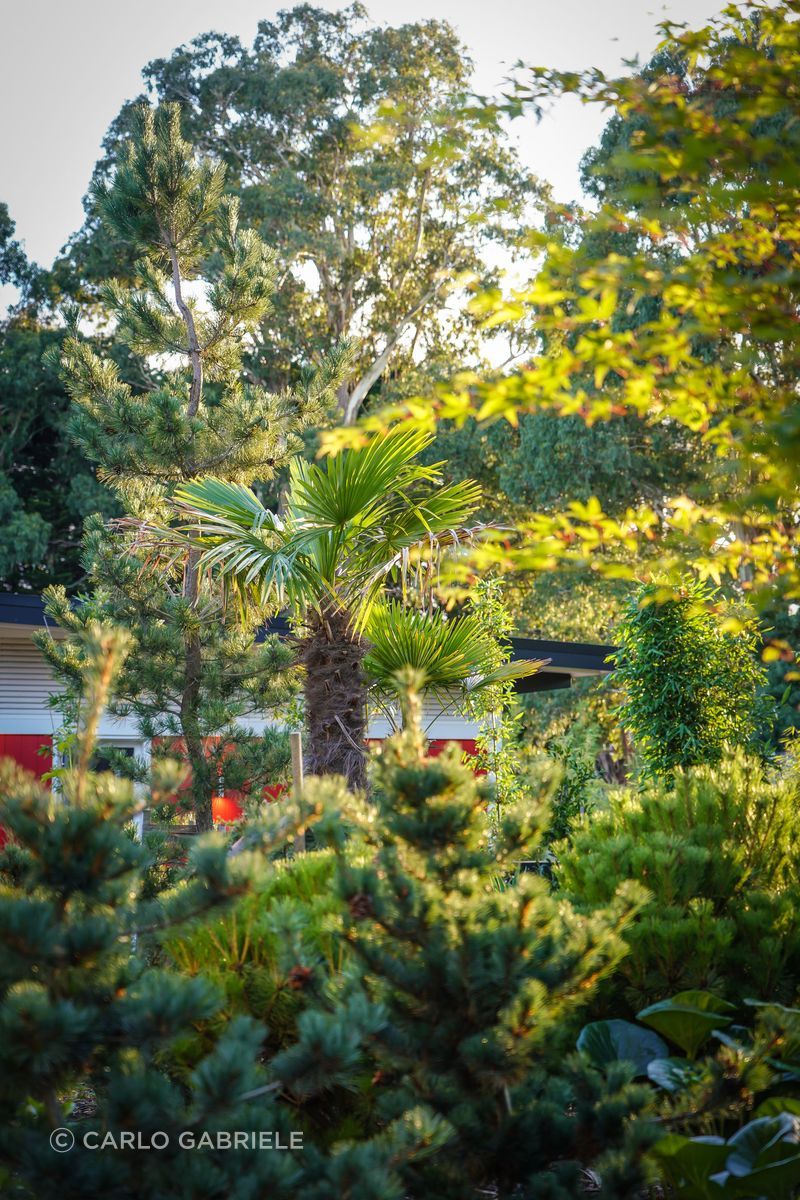 CarloGabrieleCeraStribleyLandscapingBullarto00119.jpg