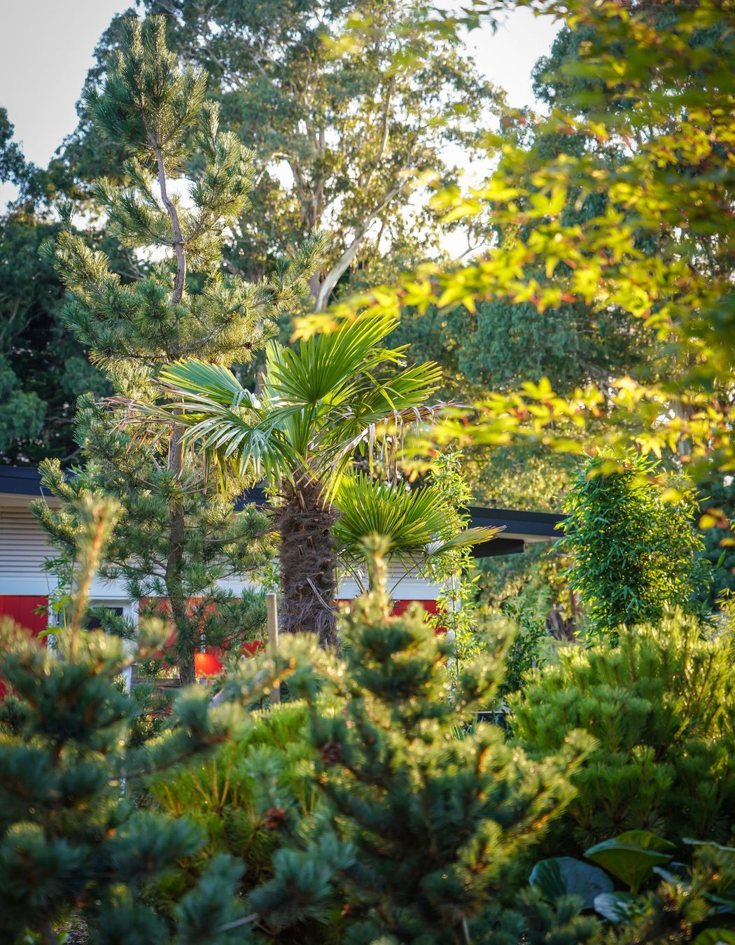 CarloGabrieleCeraStribleyLandscapingBullarto00119.jpg