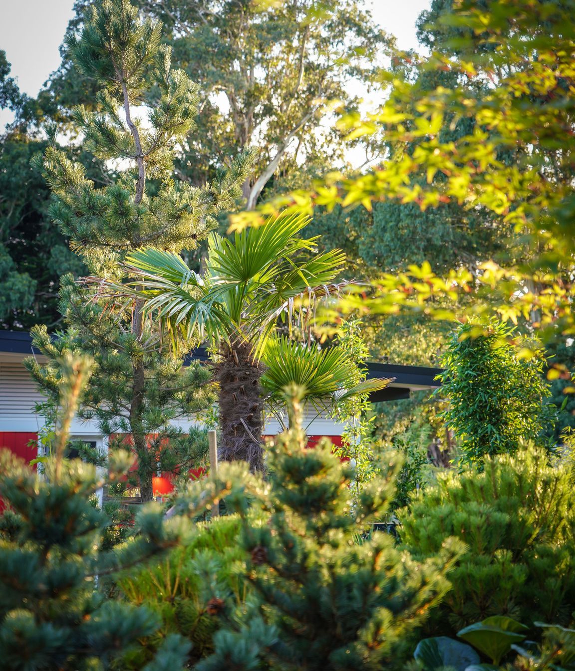 CarloGabrieleCeraStribleyLandscapingBullarto00119.jpg
