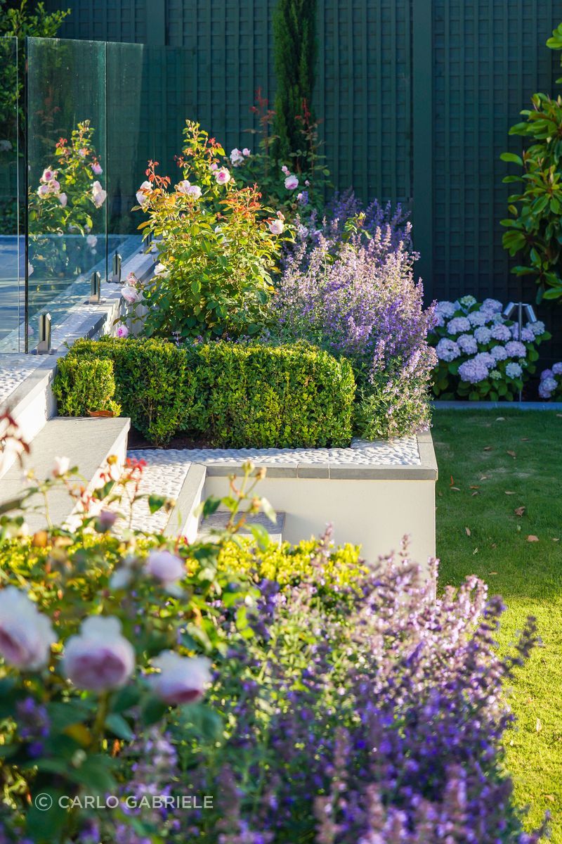 CarloGabrieleCeraStribleyLandscapingHillStreet27.jpg