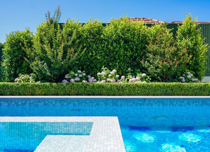 Hill Street | Toorak