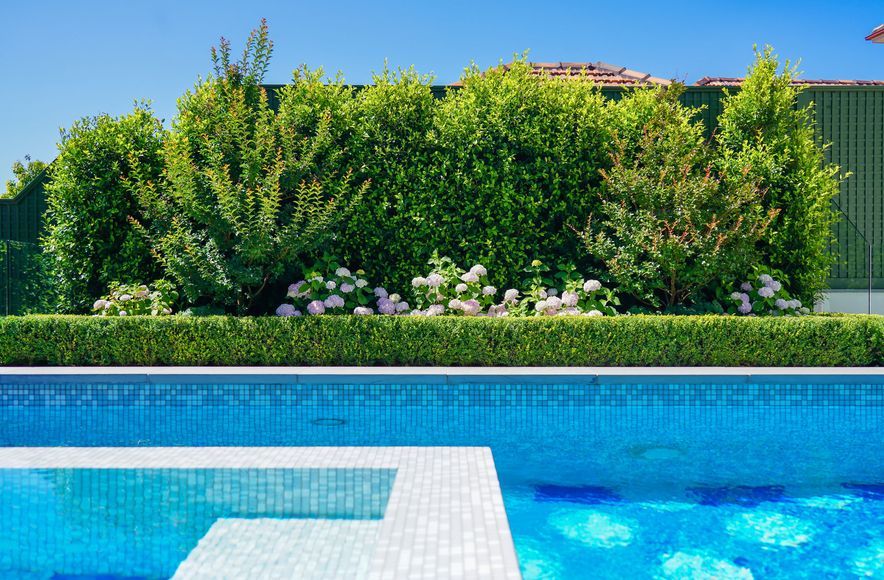 Hill Street | Toorak