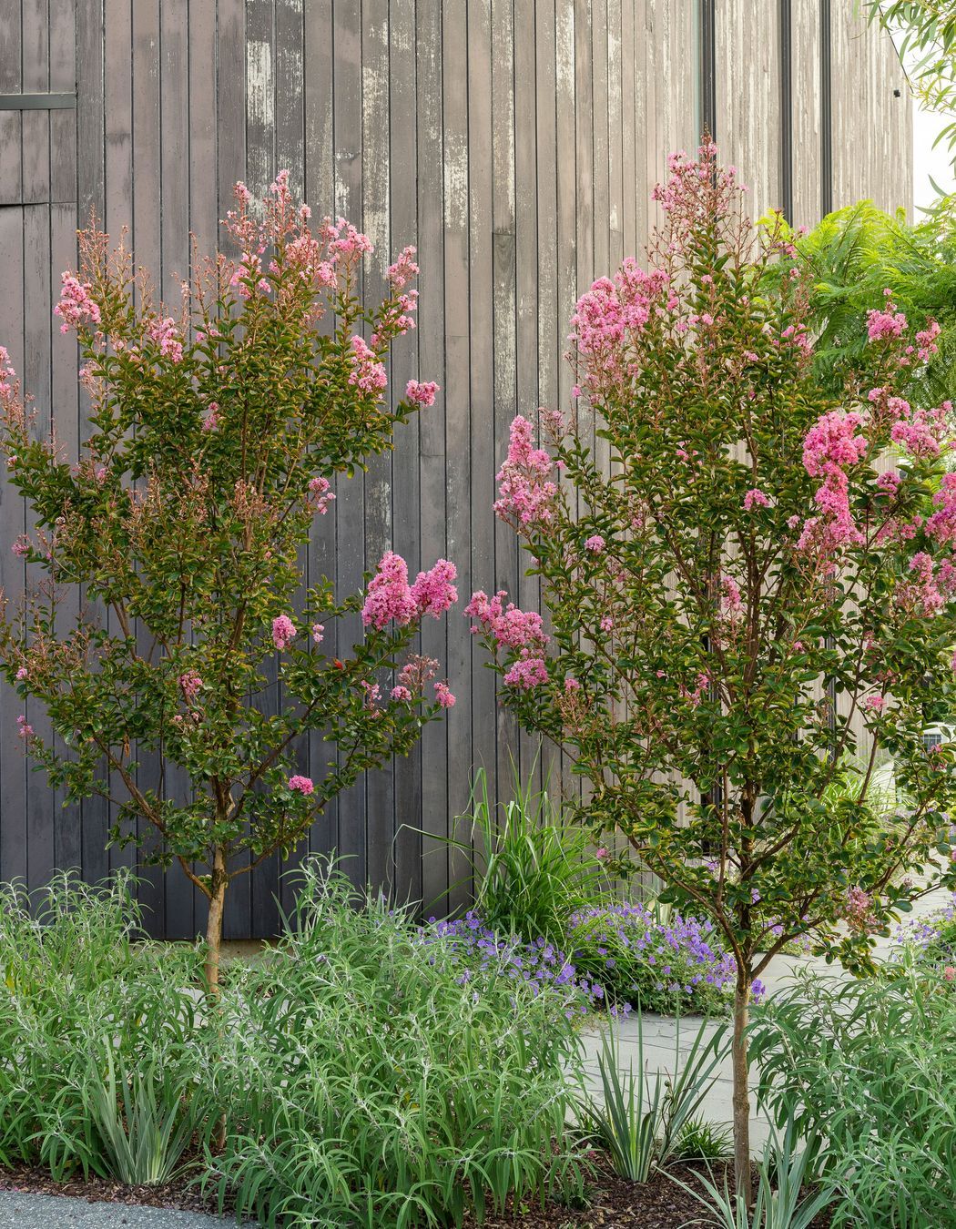CarloGabrieleCeraStribleyLandscapingViewCourt149.jpg