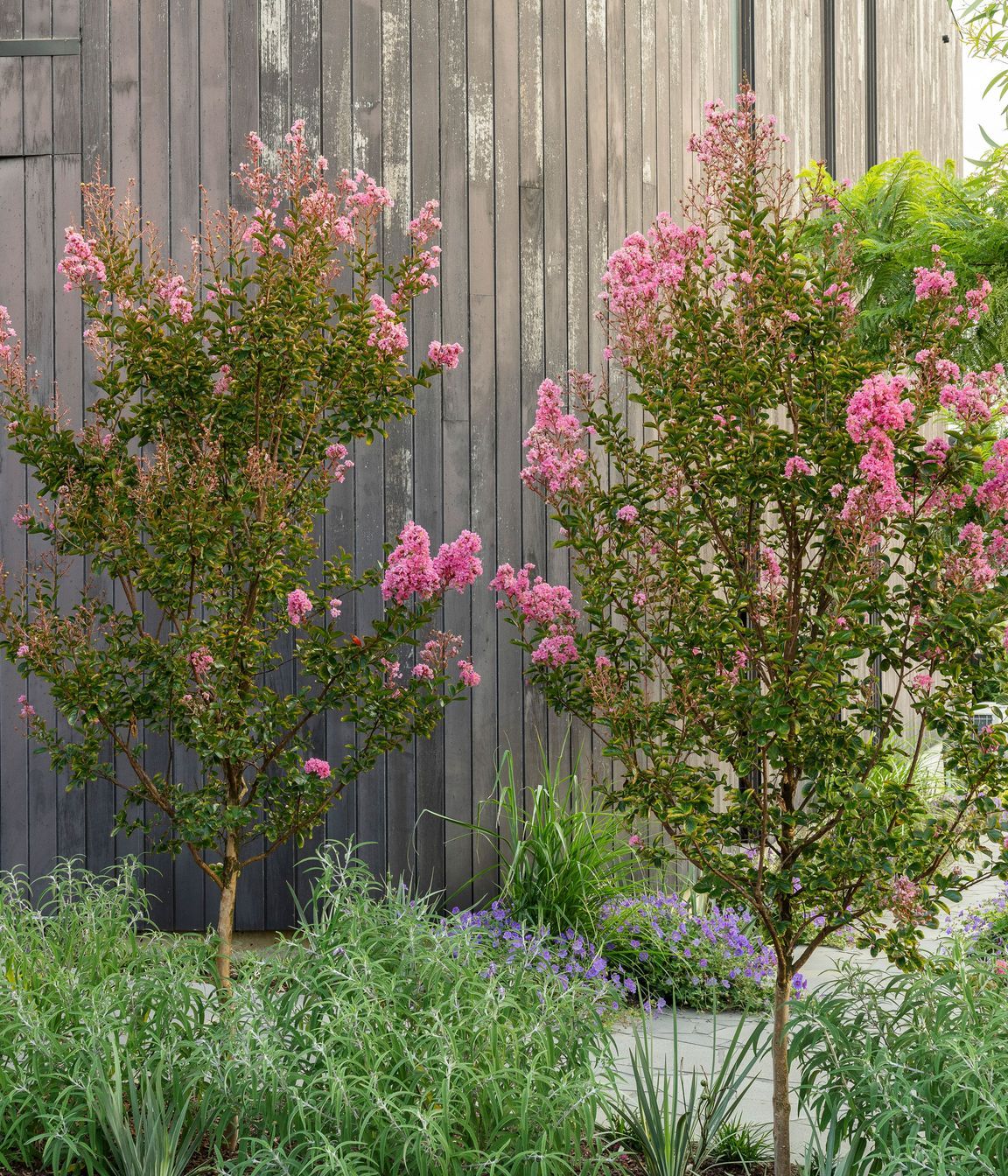 CarloGabrieleCeraStribleyLandscapingViewCourt149.jpg