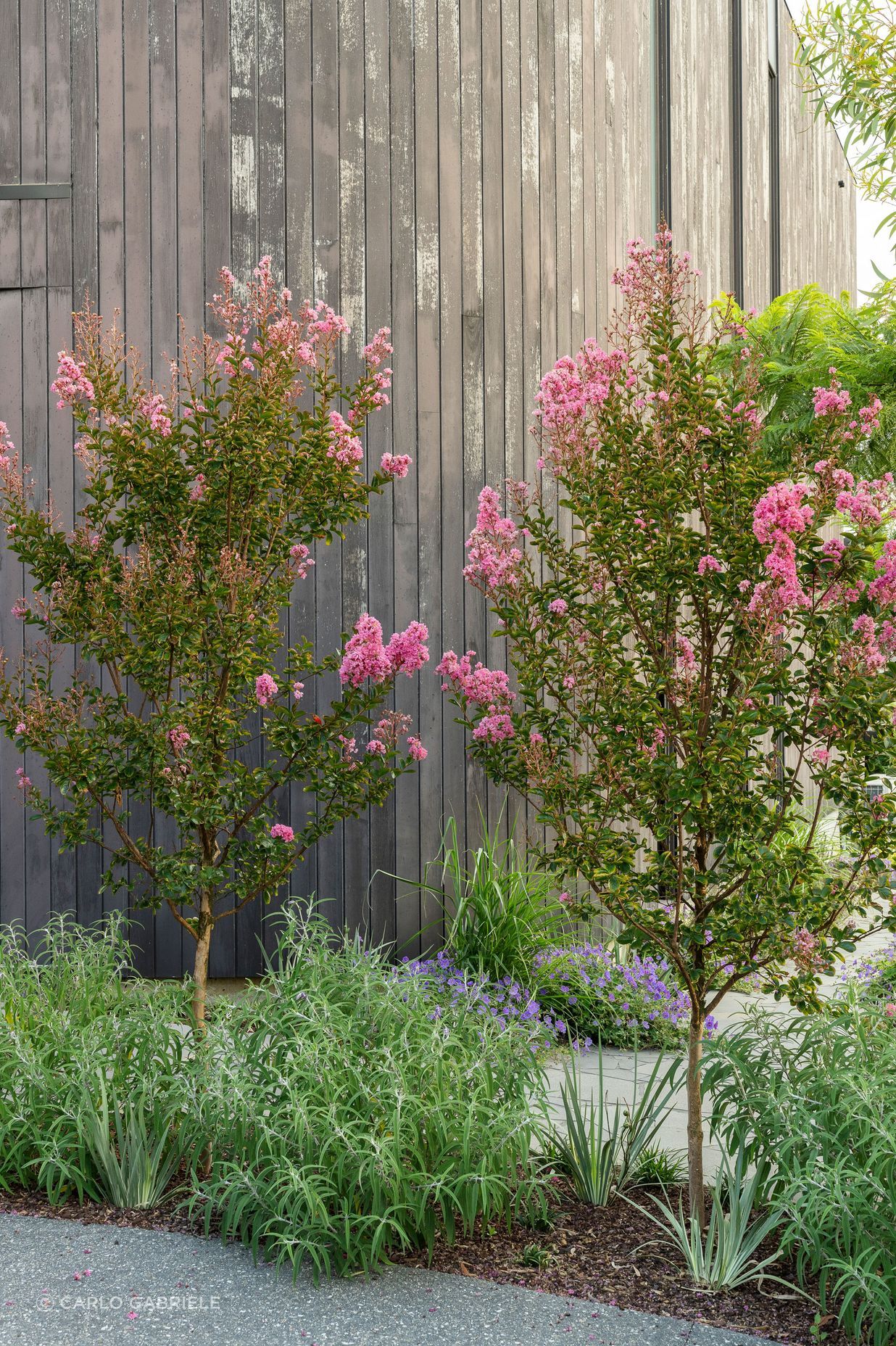 CarloGabrieleCeraStribleyLandscapingViewCourt149.jpg