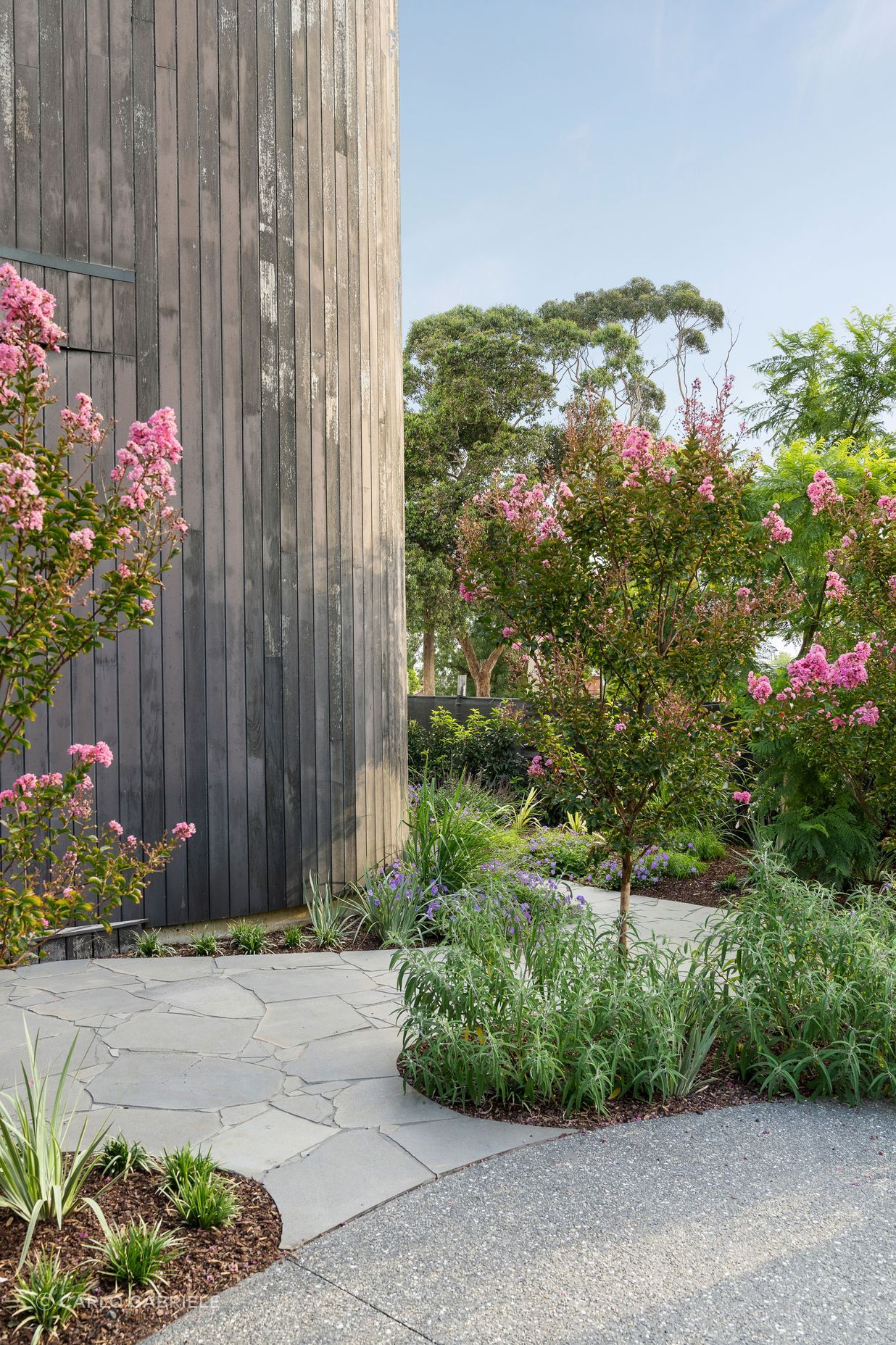 CarloGabrieleCeraStribleyLandscapingViewCourt157-v3.jpg