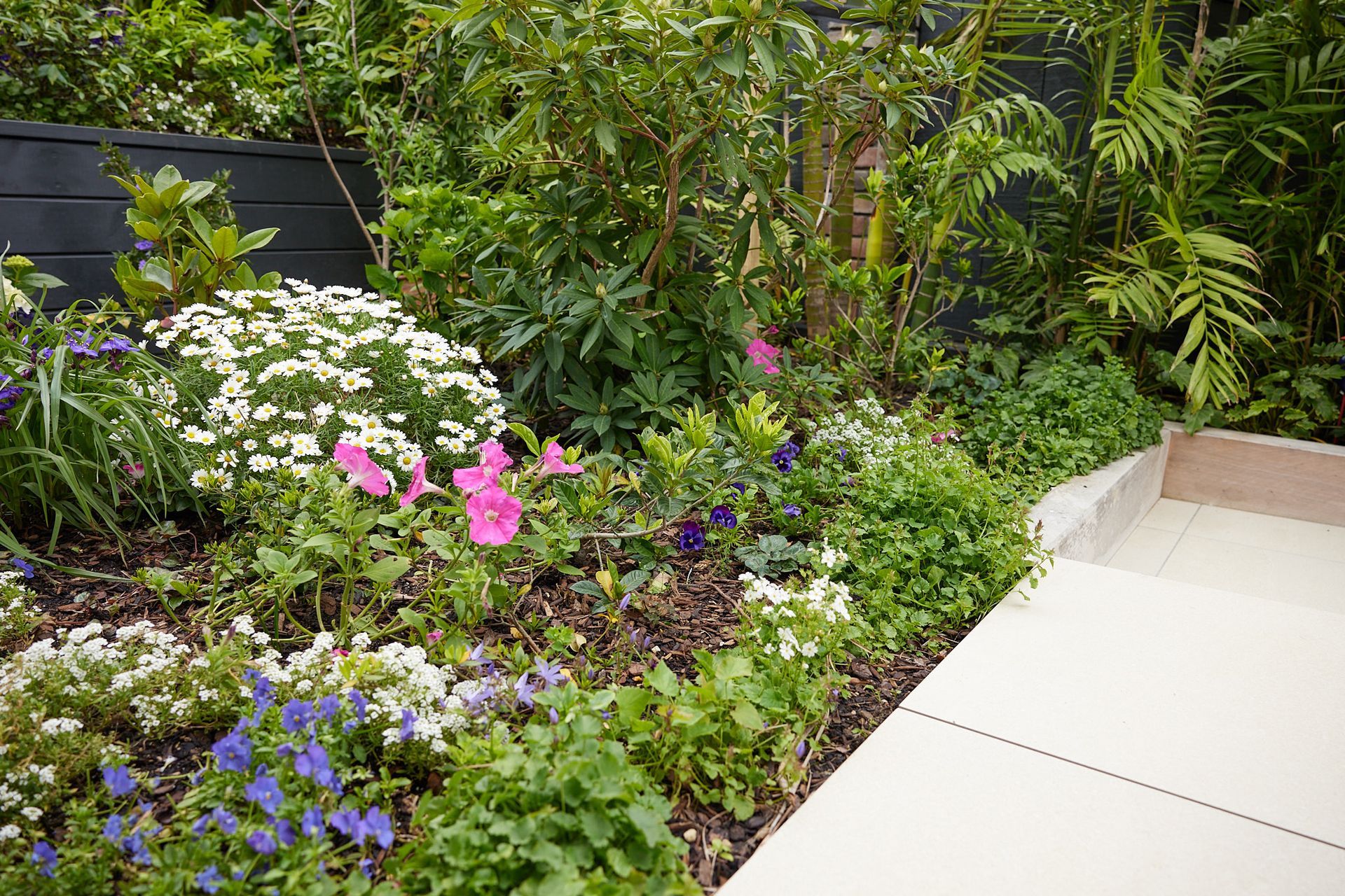 Castor By Lifestyle Garden