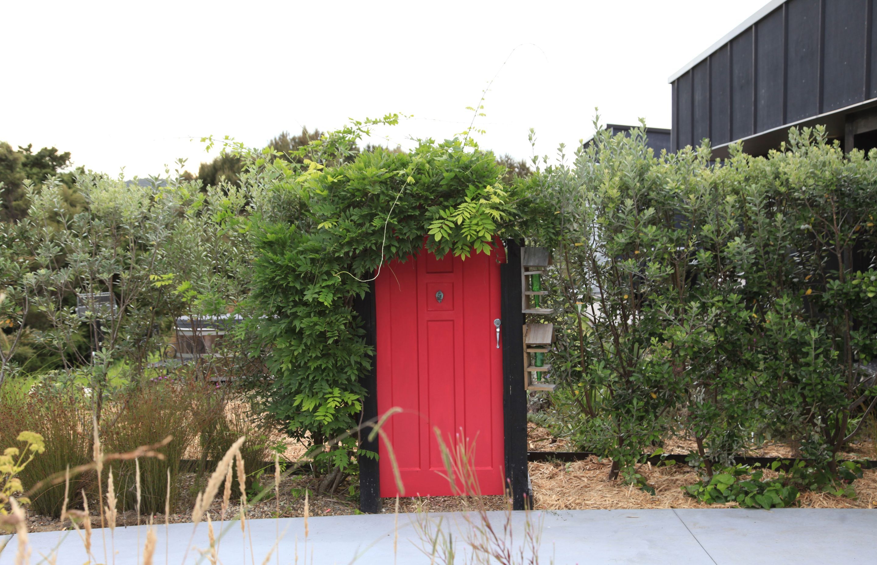 Resene Geronimo feature garden door, rescued from a reclamation yard.