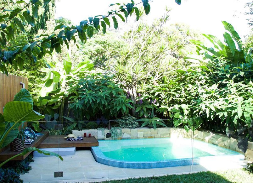 Plunge Garden