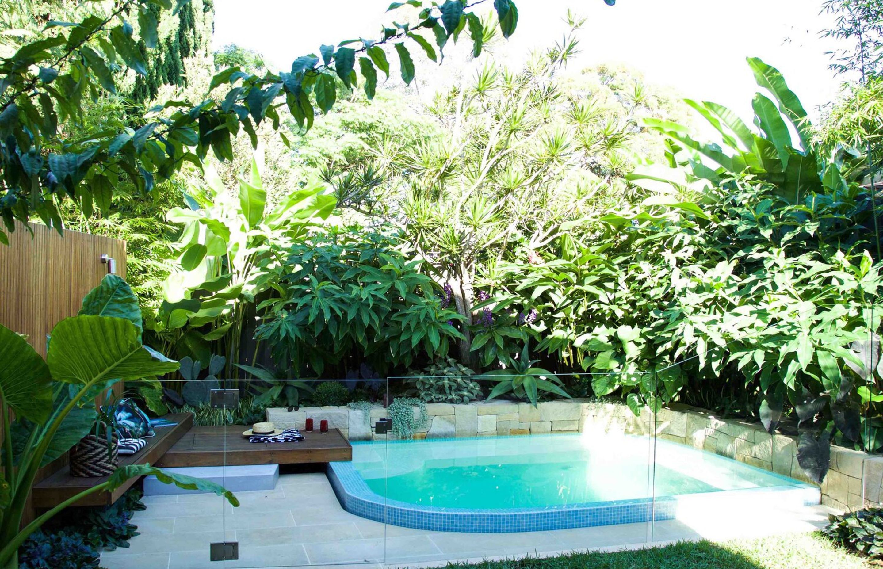Plunge Garden