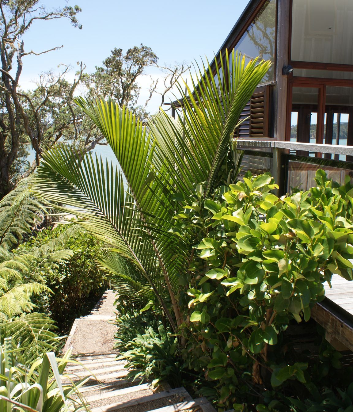 Coastal and lifestyle