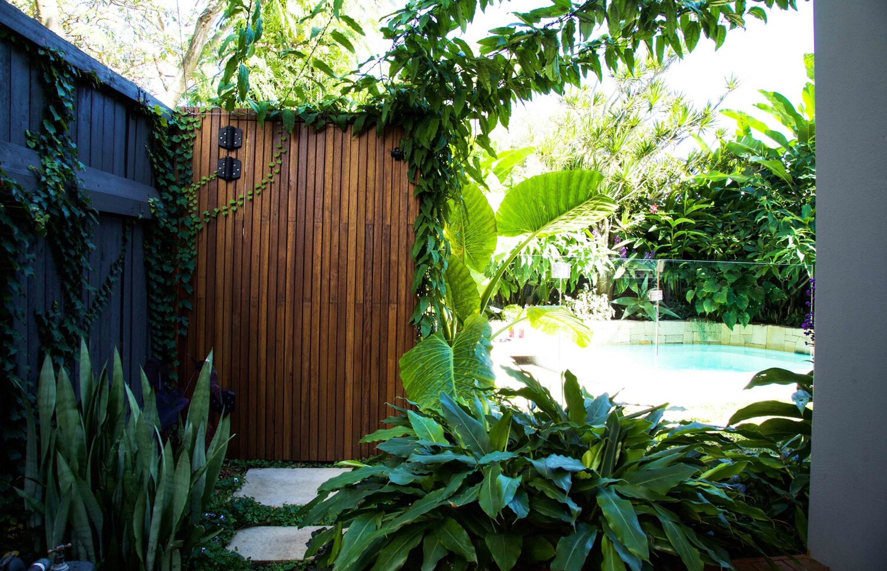 Plunge Garden