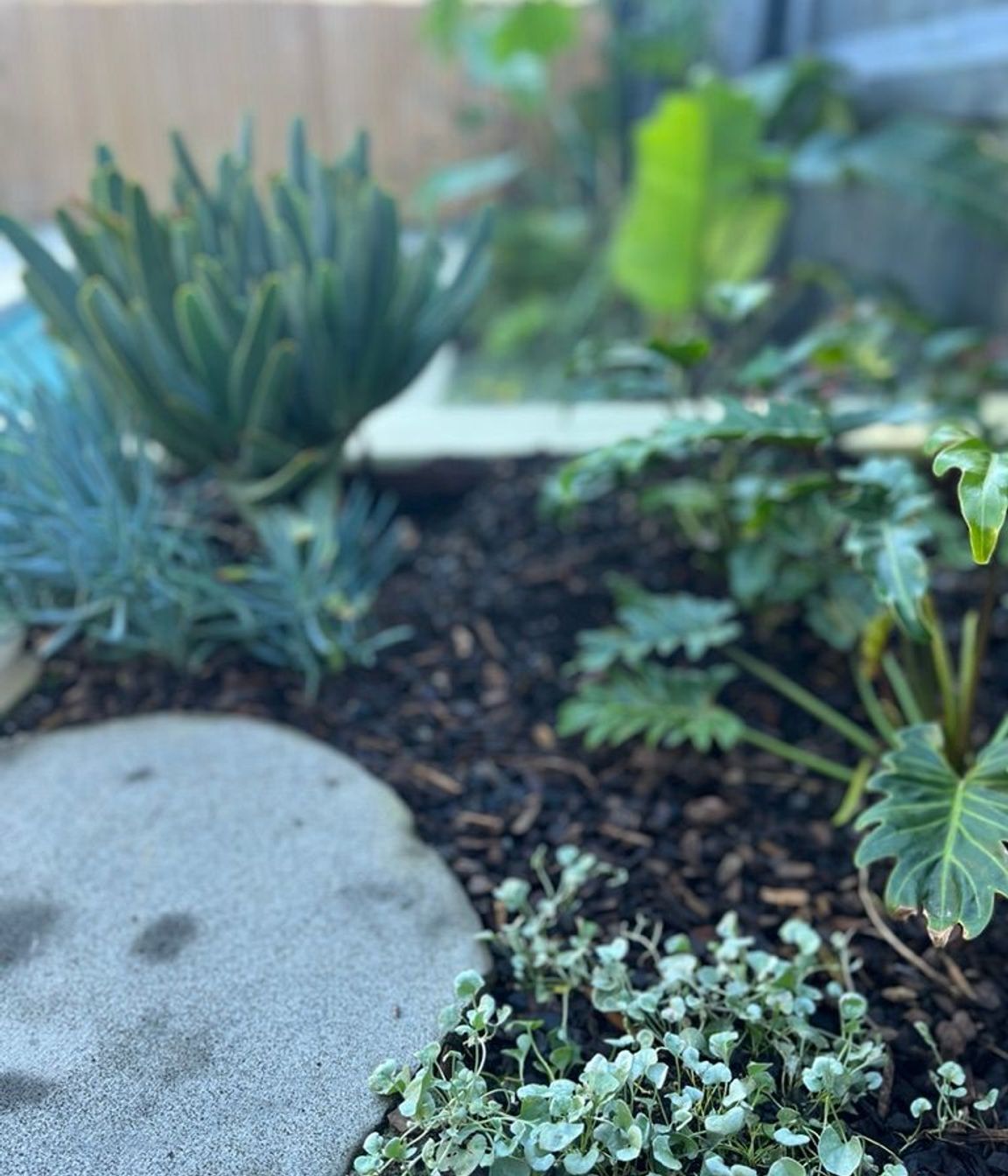 Urban Jungle