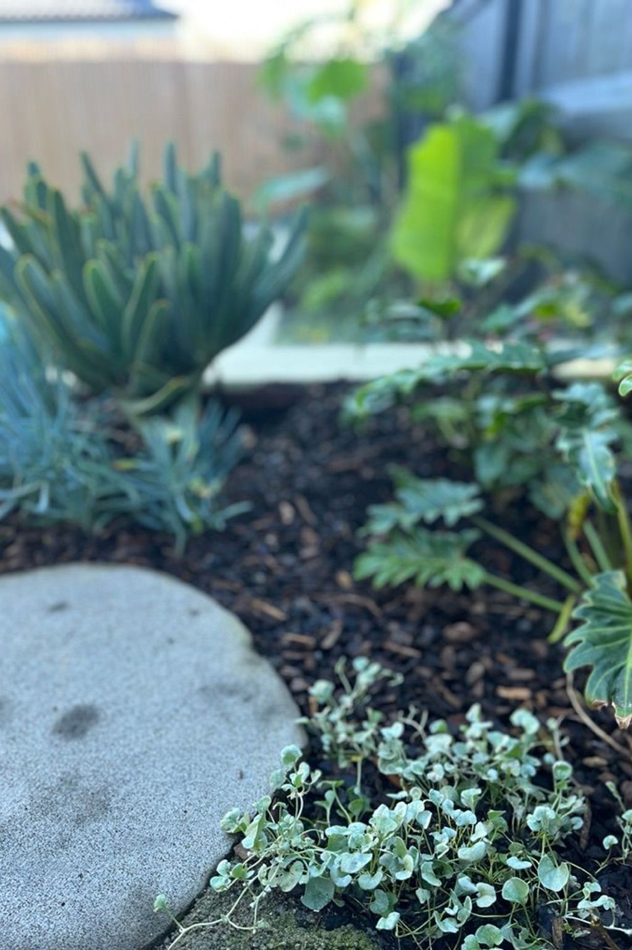 Urban Jungle