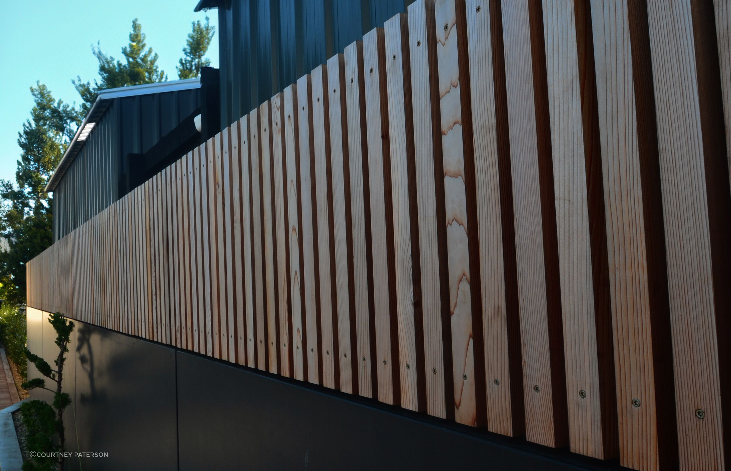 DC828D97-00E1-45D8-BC13-8D50960F0094.jpeg