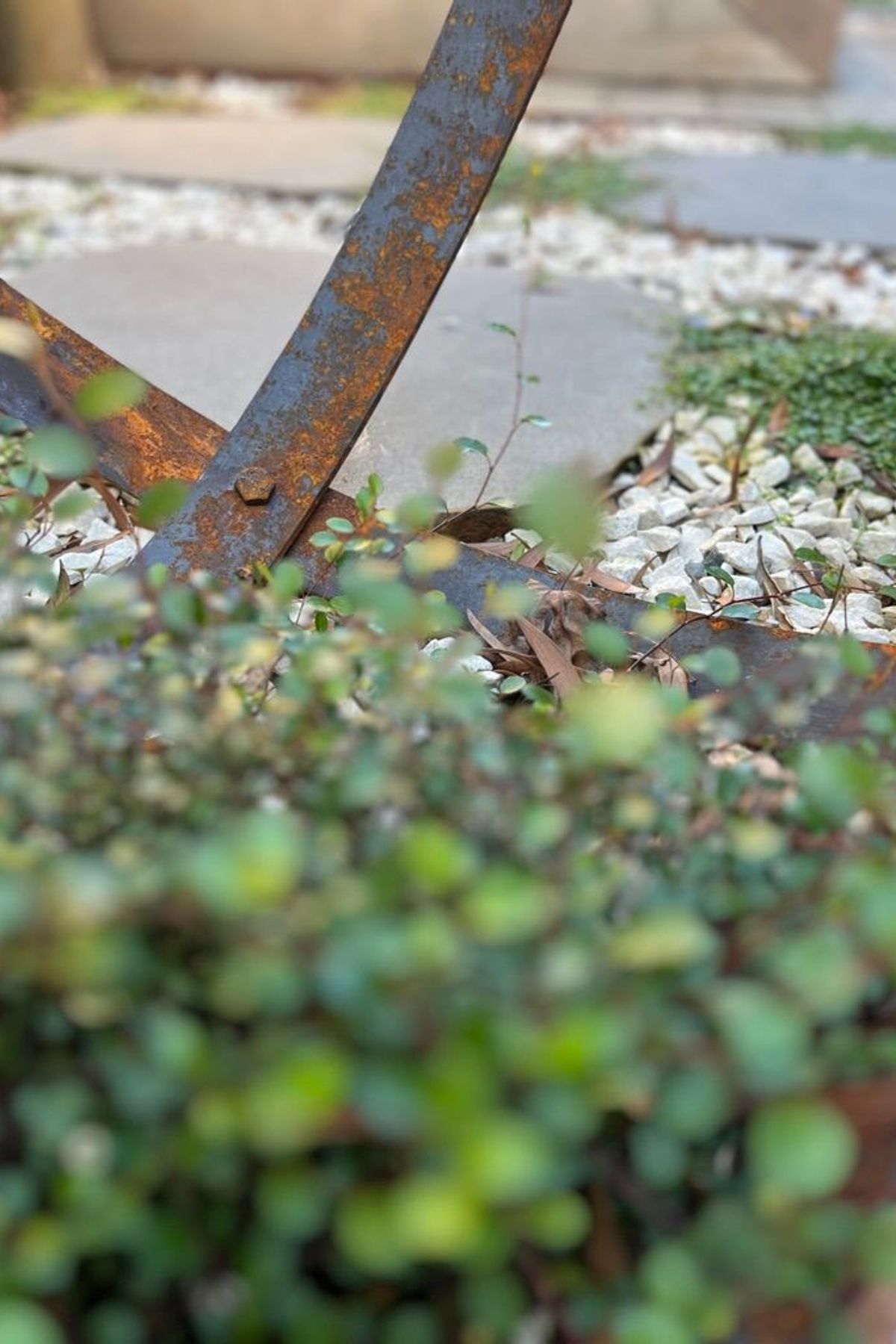 Urban Jungle