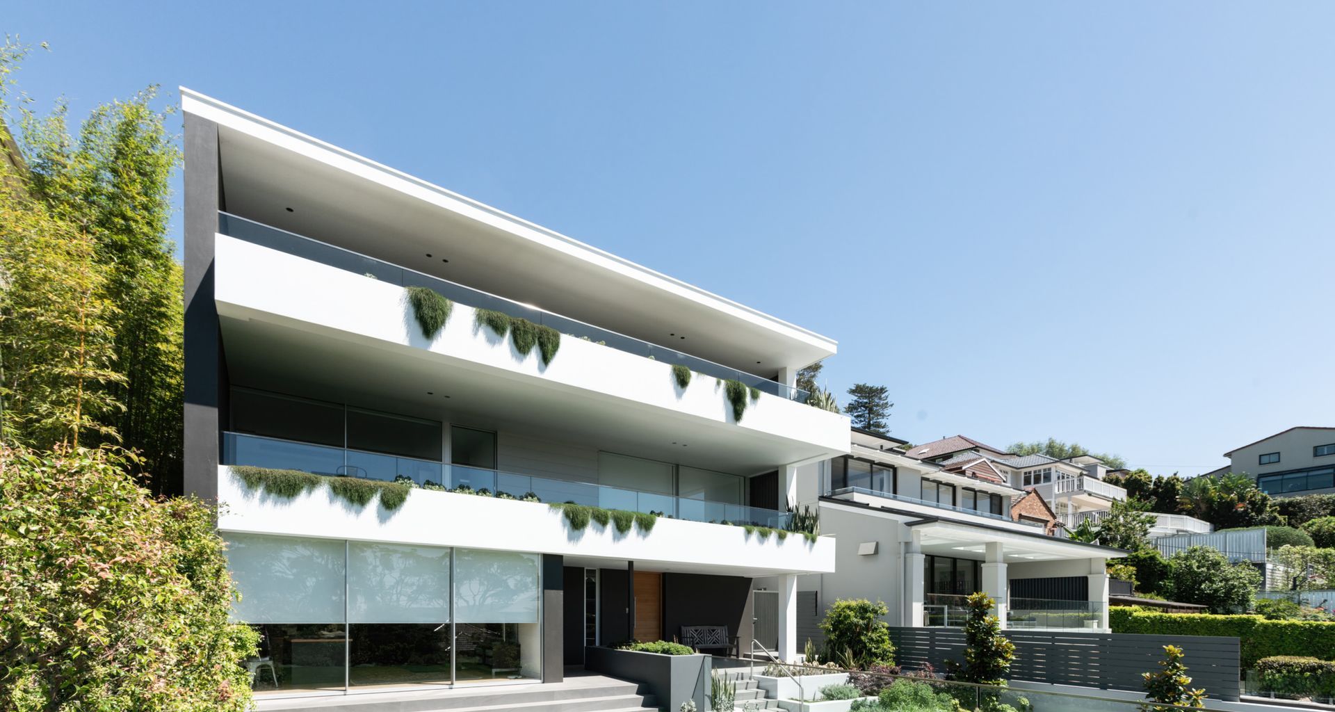 Mosman Project banner