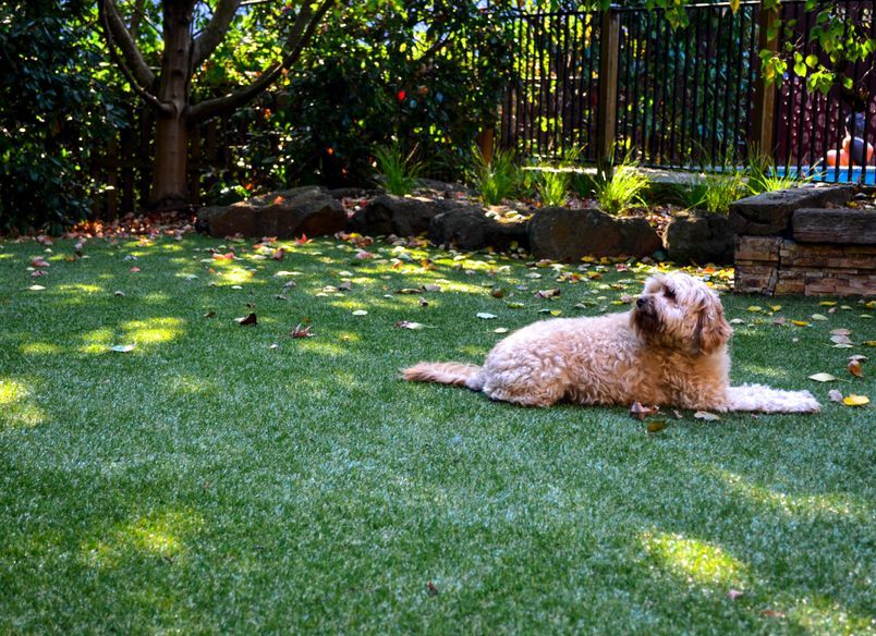 Private landscape project in Plenty