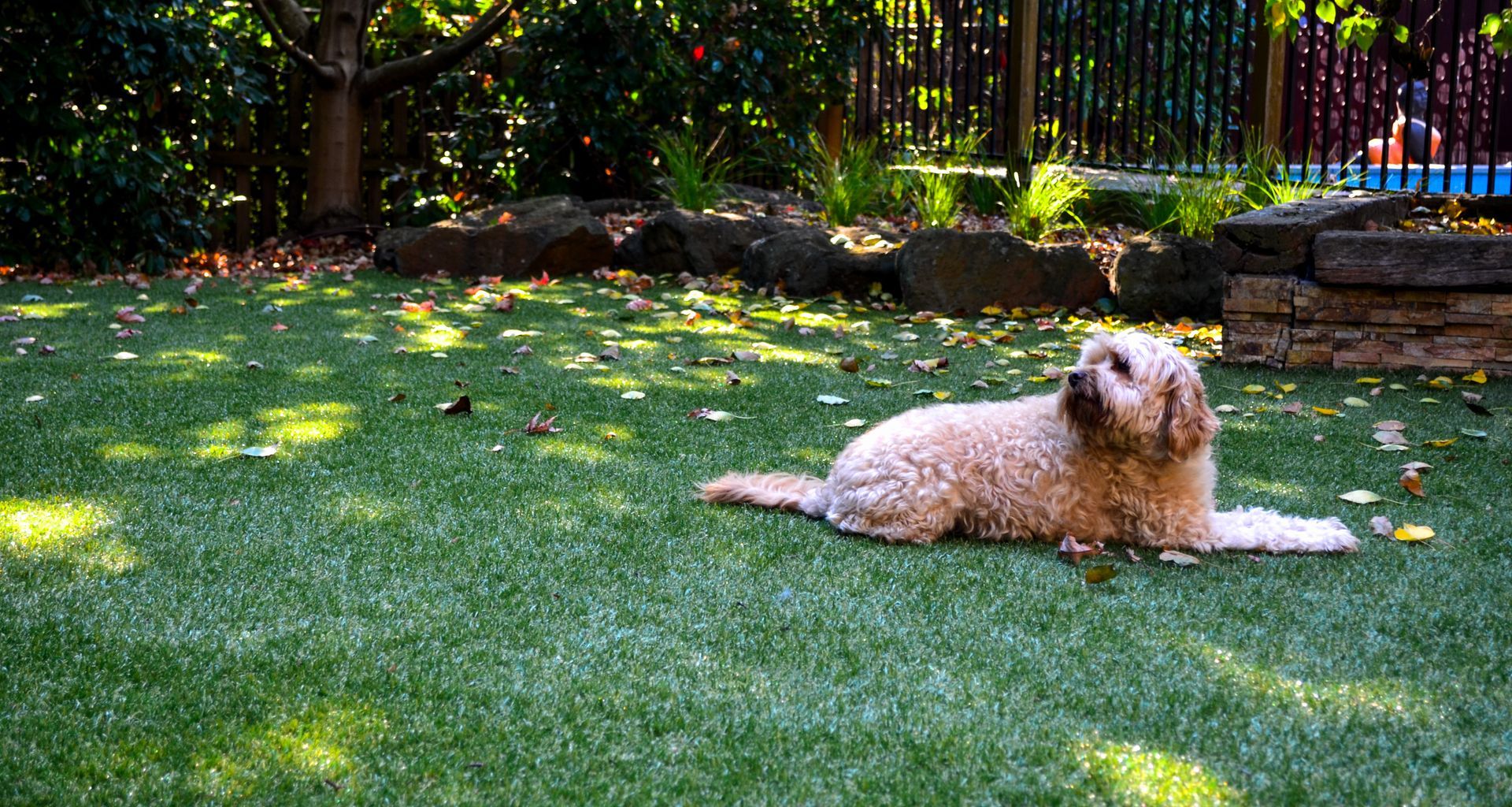 Private landscape project in Plenty banner