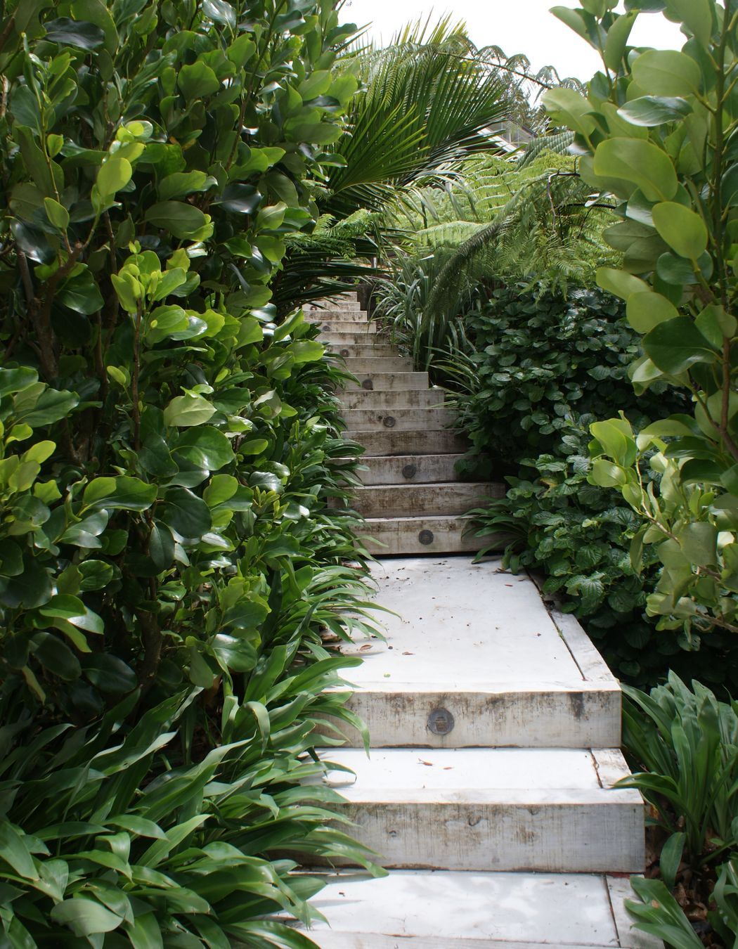 Coastal and lifestyle