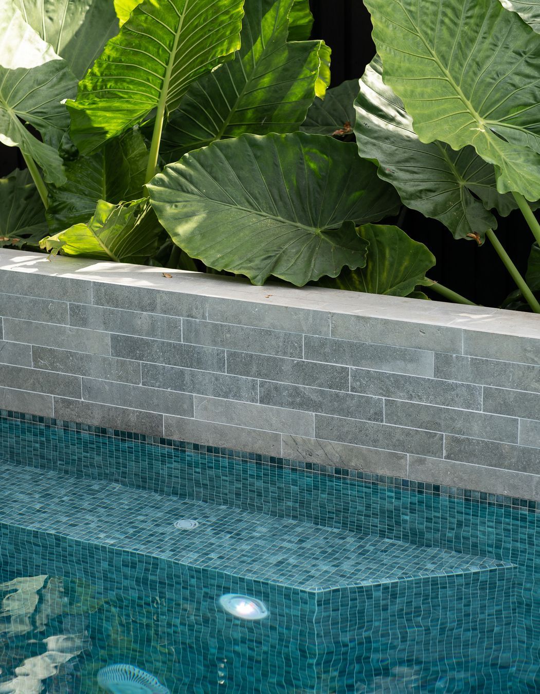 Wet Edge Pool