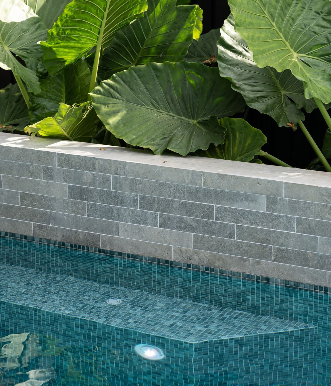 Wet Edge Pool