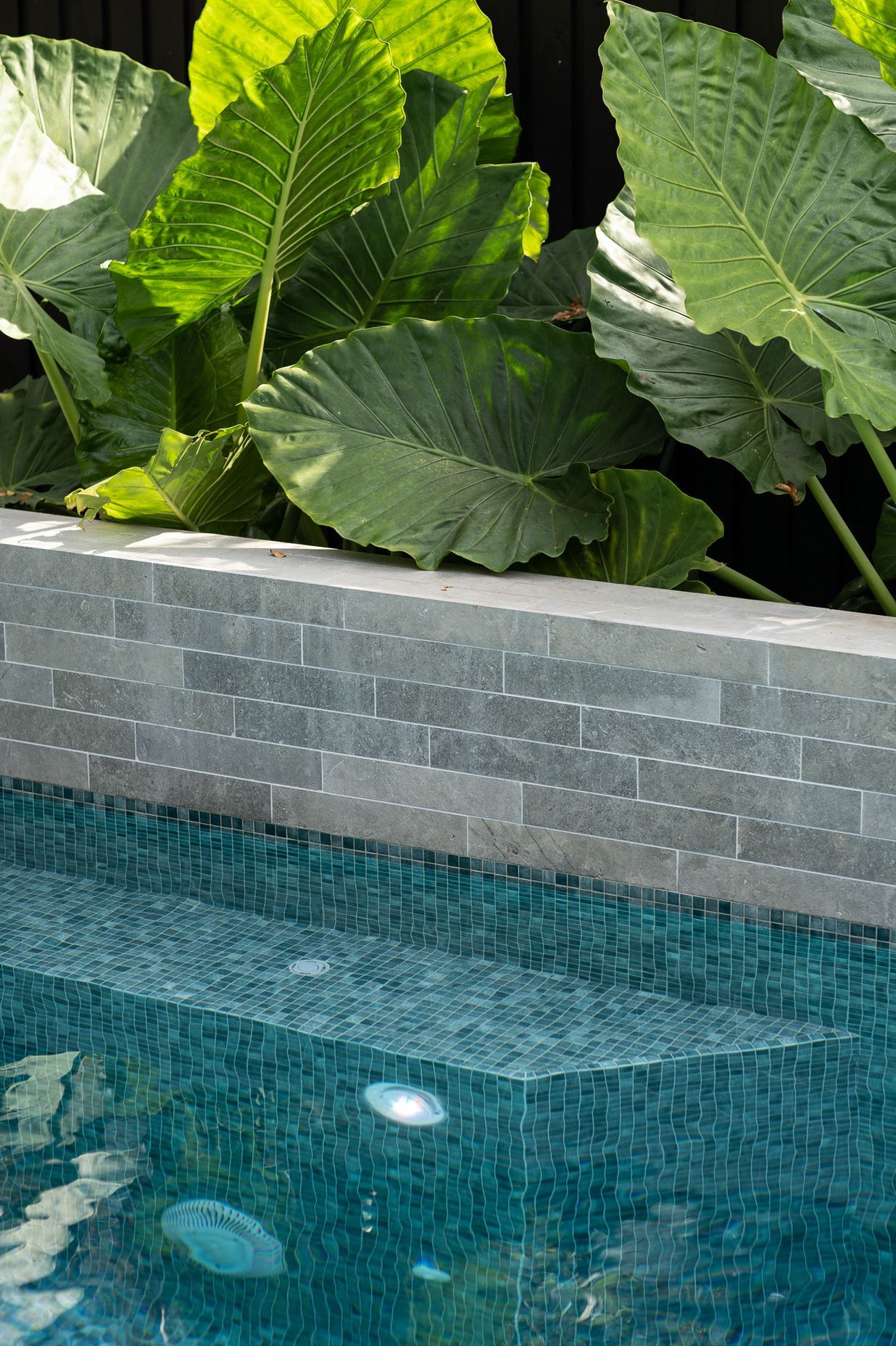 Wet Edge Pool