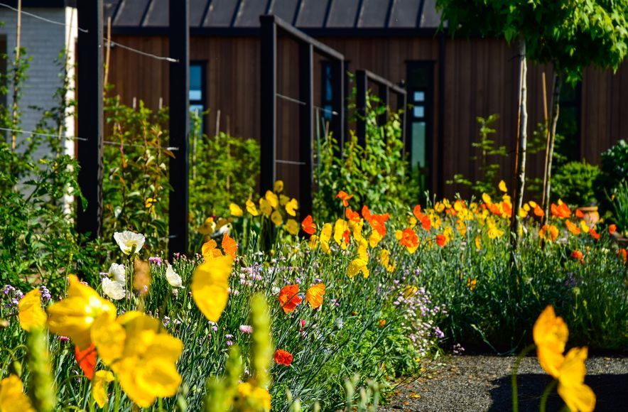 Potager Garden