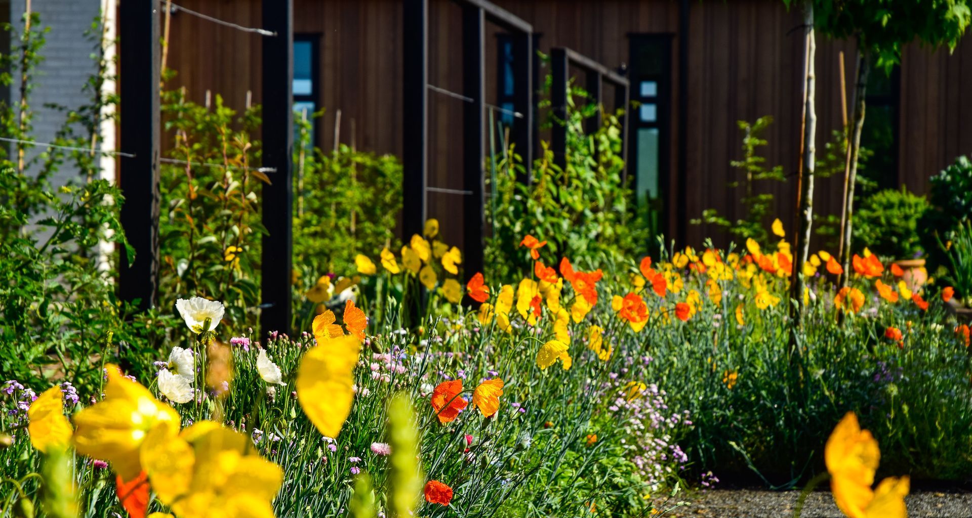 Potager Garden banner
