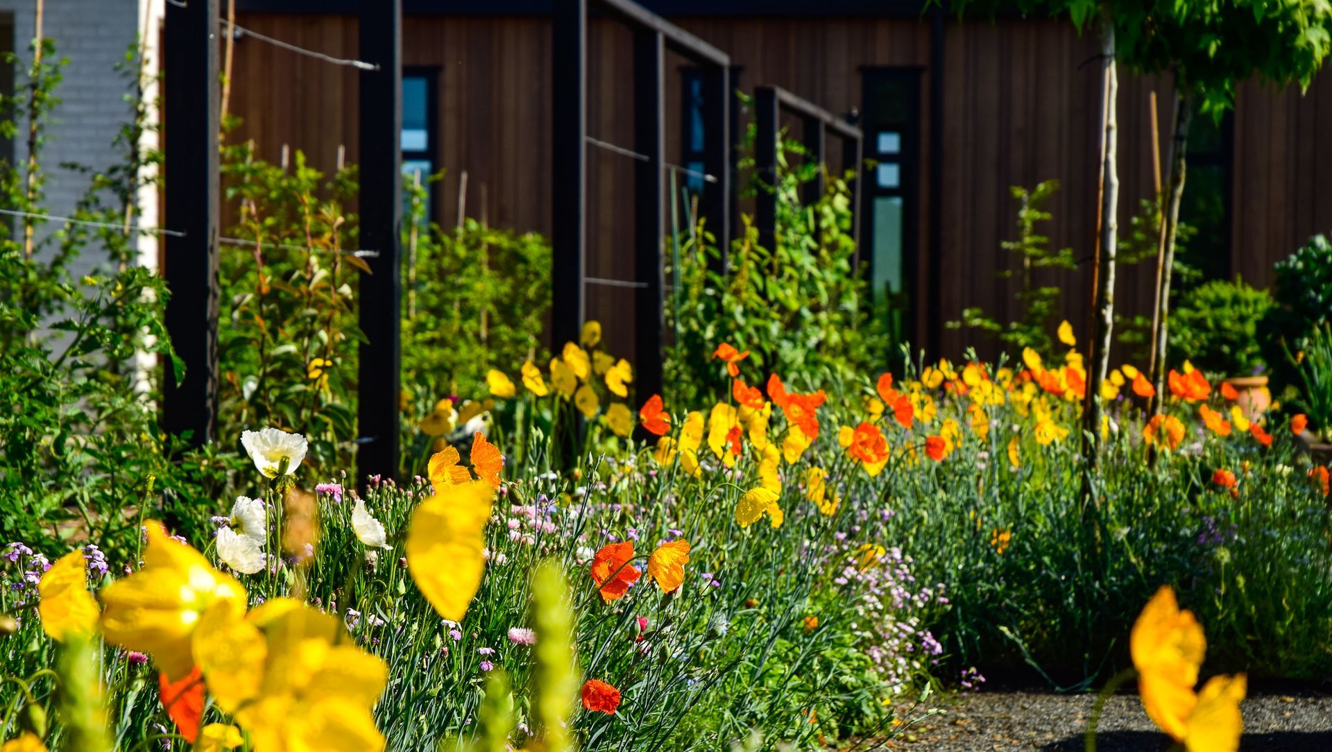 Potager Garden banner