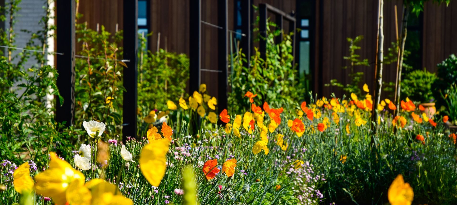Potager Garden banner