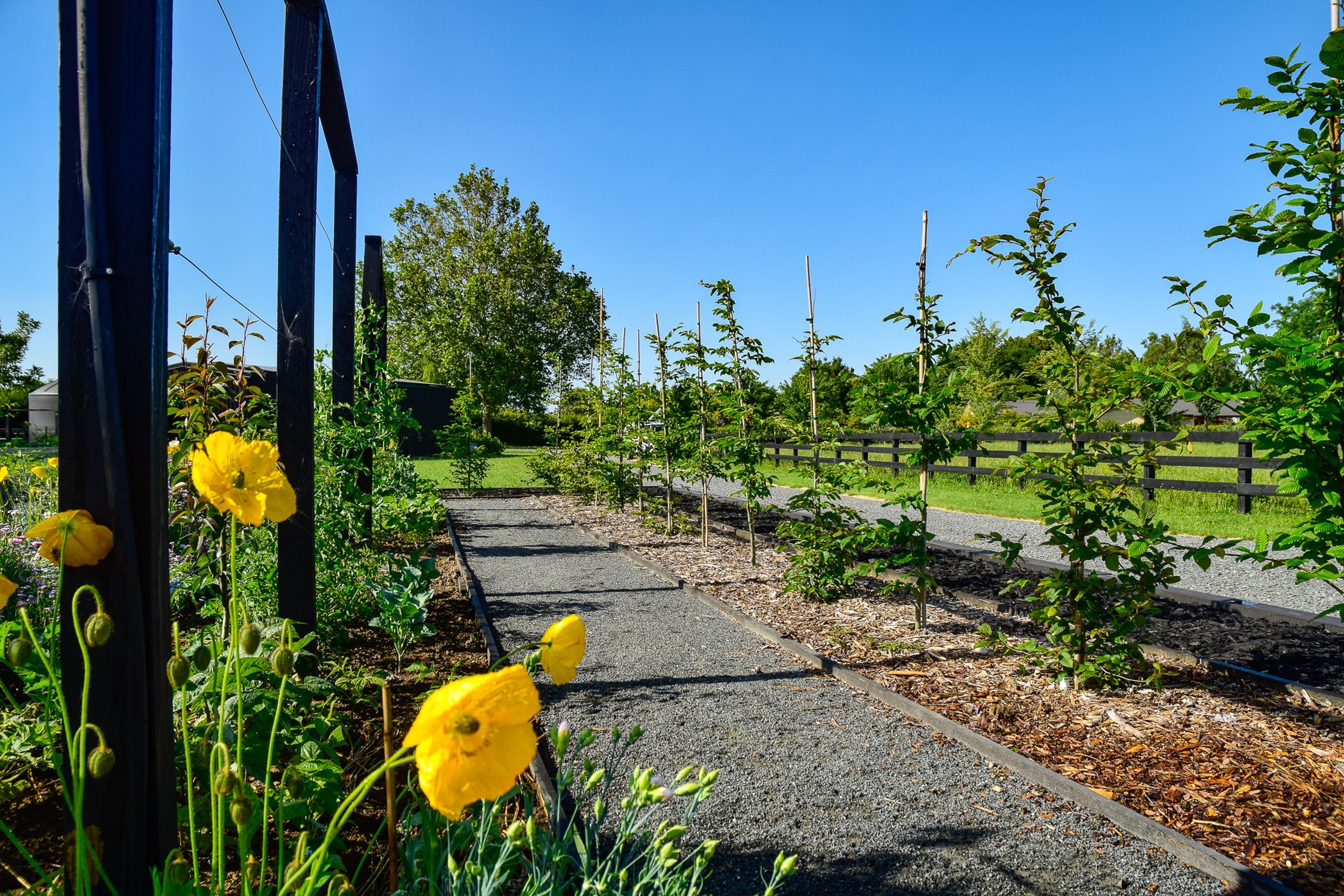 Potager Garden