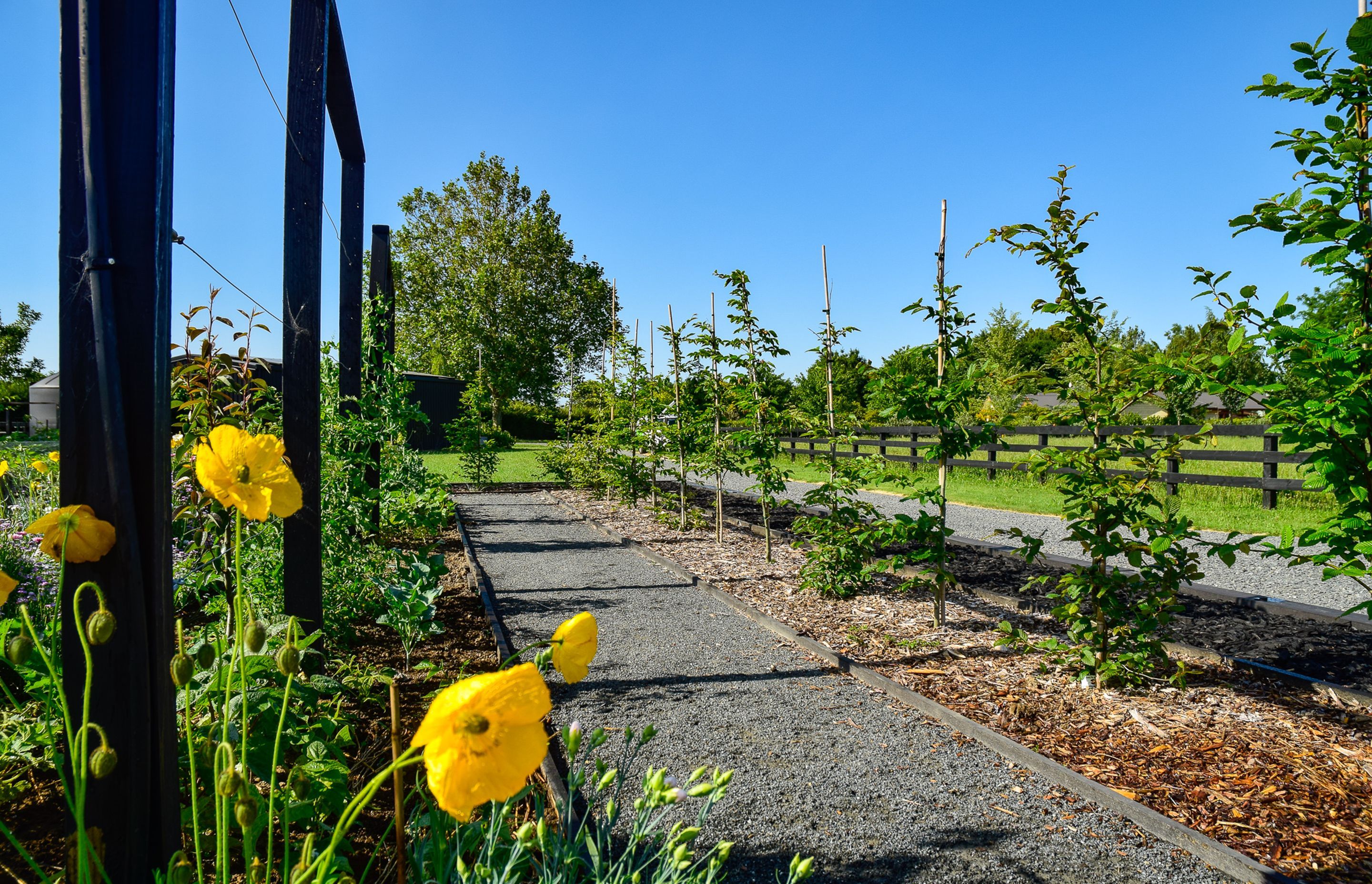 Potager Garden