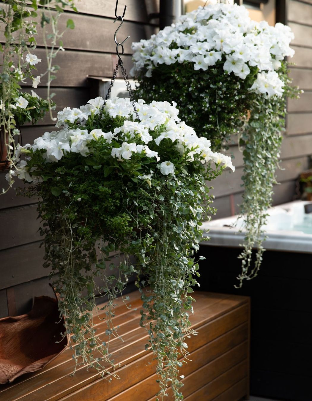 Shabby Chic Garden Delight