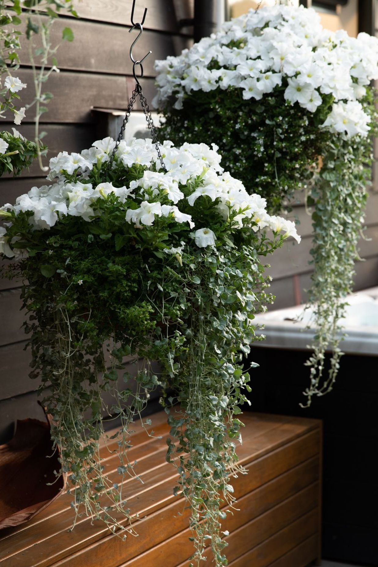 Shabby Chic Garden Delight